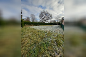  terrain polliat 01310