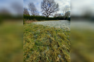  terrain polliat 01310