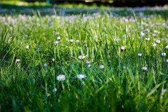  terrain pont-scorff 56620