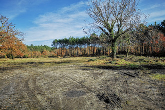  terrain pontenx-les-forges 40200