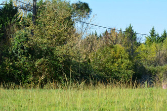  terrain port-ste-foy-et-ponchapt 33220