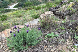  terrain port-vendres 66660