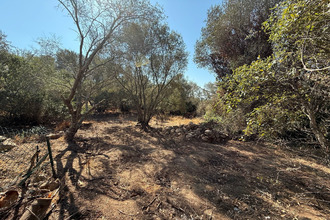  terrain porto-vecchio 20137