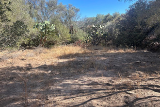  terrain porto-vecchio 20137