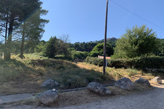  terrain porto-vecchio 20137