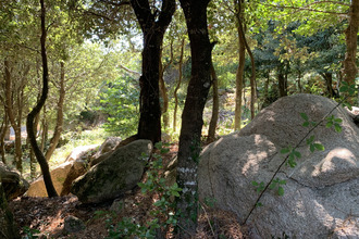  terrain porto-vecchio 20137