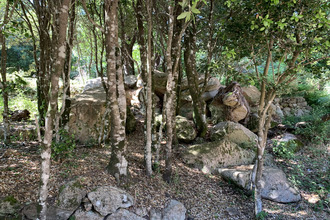  terrain porto-vecchio 20137