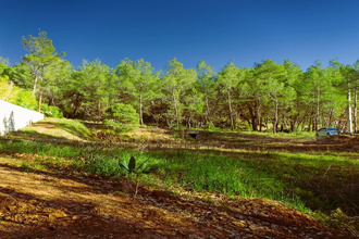  terrain pourrieres 83910