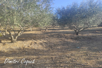  terrain pouzolles 34480