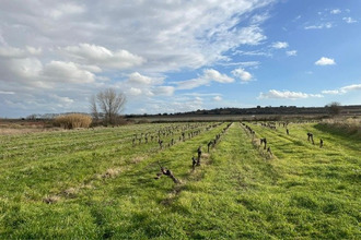  terrain pouzolles 34480