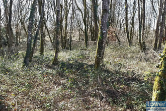  terrain pranzac 16110