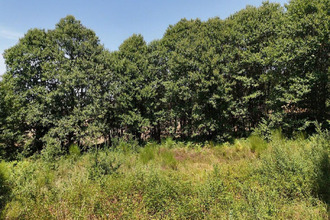  terrain prats-de-carlux 24370