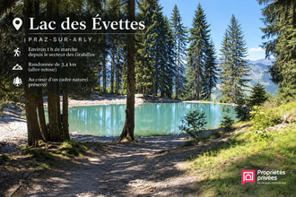  terrain praz-sur-arly 74120