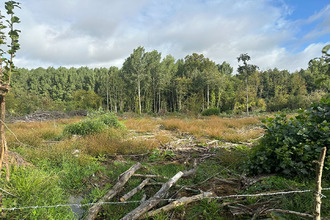  terrain prisces 02140