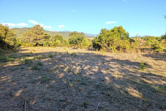  terrain prunelli-di-fiumorbo 20243