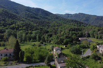  terrain pruno 20213