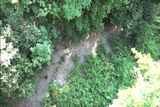  terrain pruno 20213