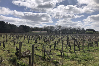  terrain queyrac 33340