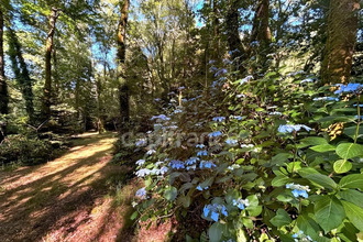  terrain quimper 29000