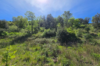  terrain quintillan 11360