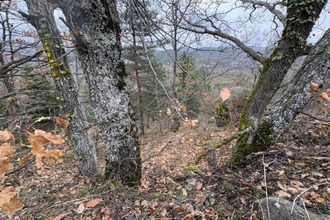 terrain rabouillet 66730