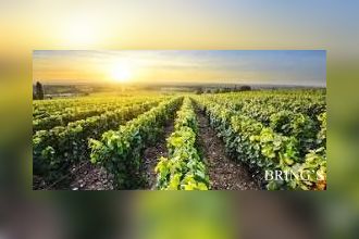  terrain restigne 37140