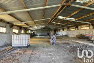  terrain riantec 56670