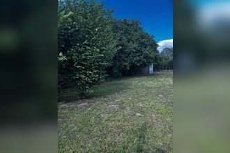  terrain ribemt 02240