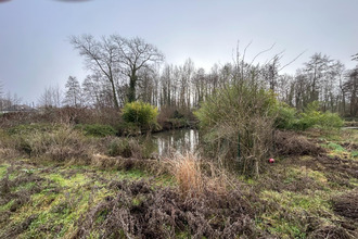  terrain ribemt-sur-ancre 80800