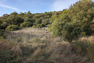  terrain rieux-en-val 11220