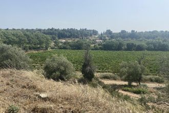  terrain rieux-minervois 11160