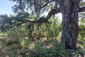  terrain riventosa 20250