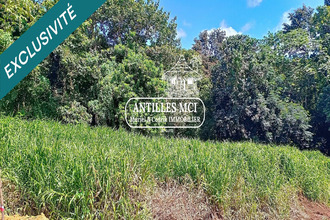  terrain riviere-salee 97215