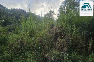  terrain riviere-salee 97215