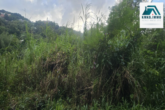  terrain riviere-salee 97215