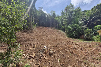  terrain riviere-salee 97215