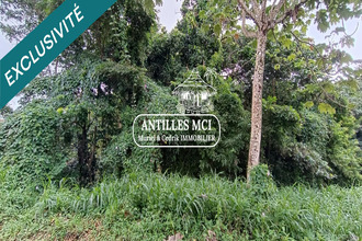  terrain riviere-salee 97215