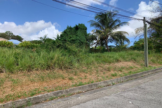  terrain riviere-salee 97215