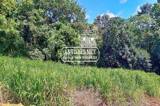  terrain riviere-salee 97215