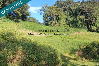 terrain riviere-salee 97215