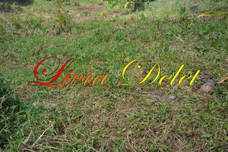  terrain robert 97231