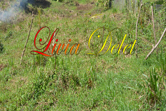  terrain robert 97231