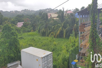  terrain robert 97231