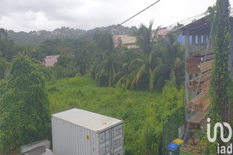  terrain robert 97231