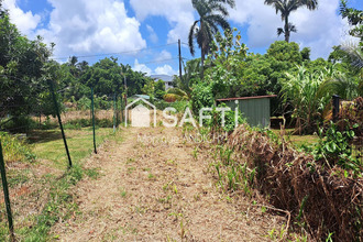  terrain robert 97231