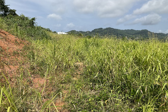  terrain robert 97231