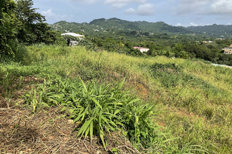  terrain robert 97231