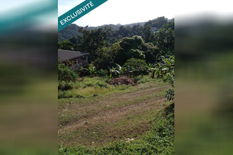  terrain robert 97231