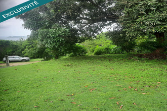  terrain robert 97231