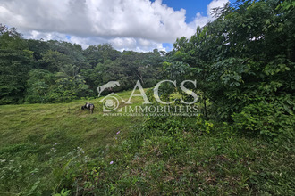  terrain robert 97231